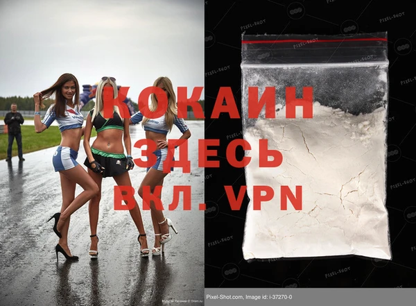 стафф Новодвинск