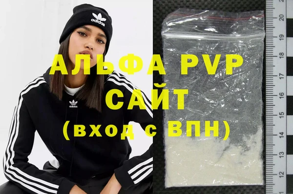 стафф Новодвинск