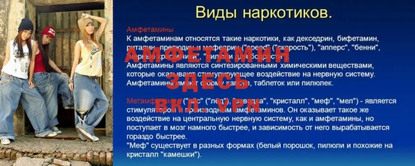 стафф Новодвинск