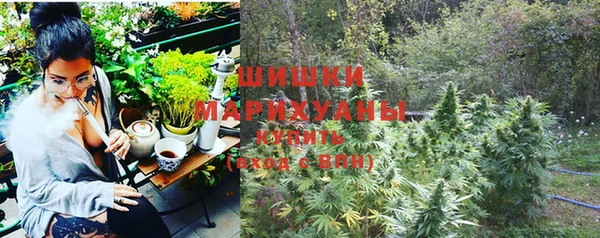 стафф Новодвинск